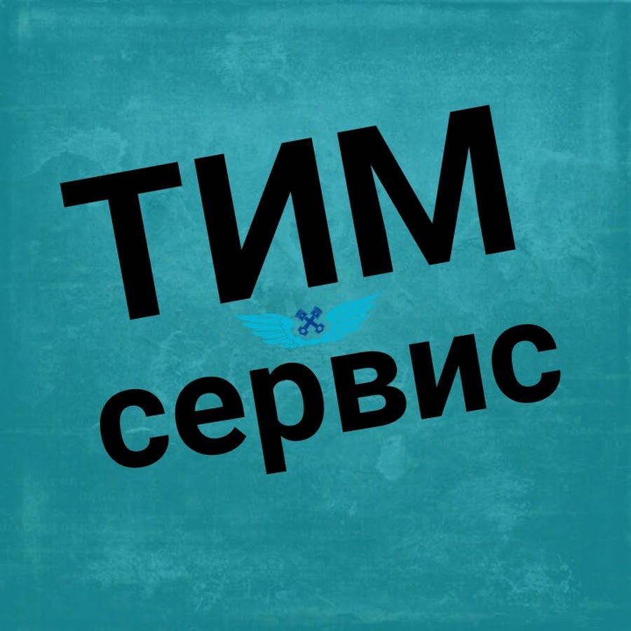 Гарант холдинг конаково логотип. Тим сервис москва. Тим дикс сервис. Стройсервис самара логотип. Интехсервис ртс.