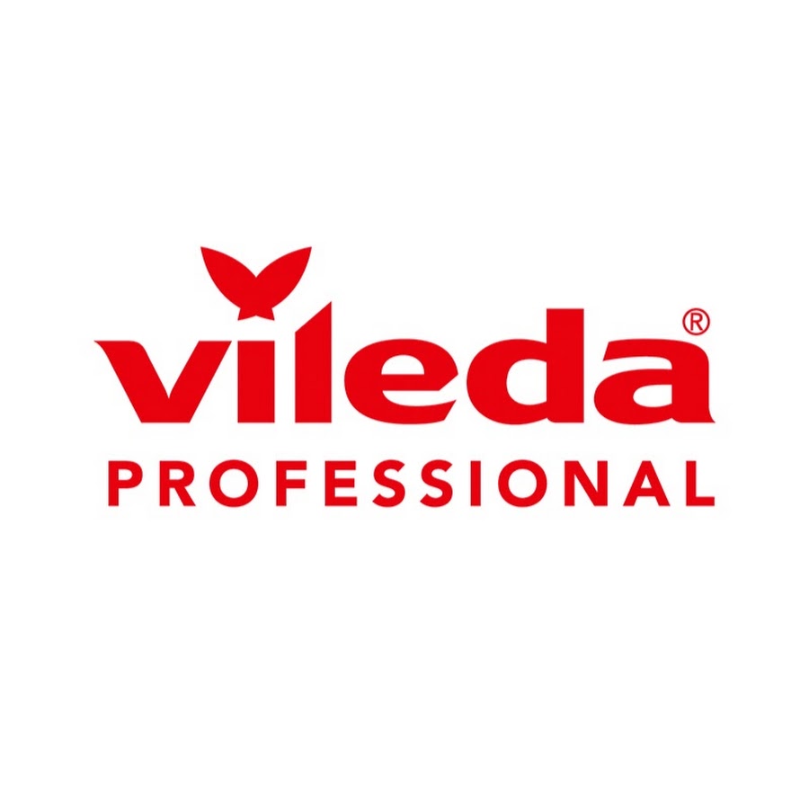 ViledaProfessionalCA 