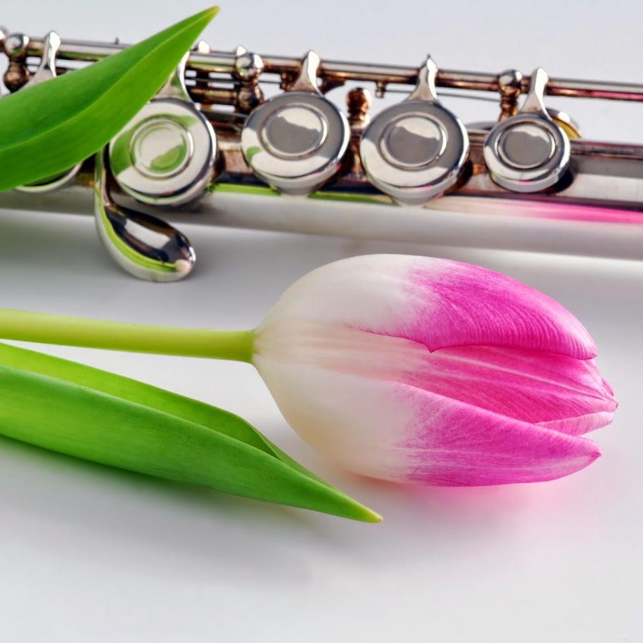 Флейта в цветах. Флейта. Флейта и цветы. Флейта с цветами. Цветы дудочки.
