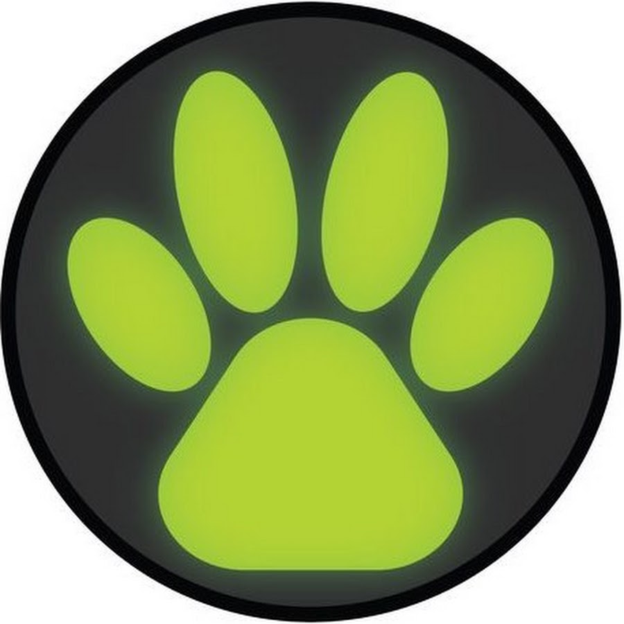 Картинку талисмана супер кота. Лапа супер кота. Отпечаток лапы зеленый. Отпечаток супер кота. Знак лапки.
