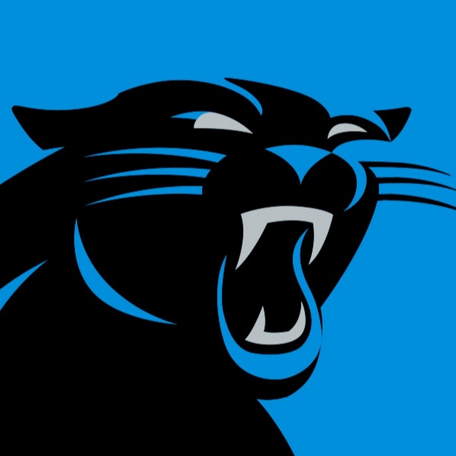 NFL - Porte-clés Spinner des Panthers de la Caroline (PATSPI