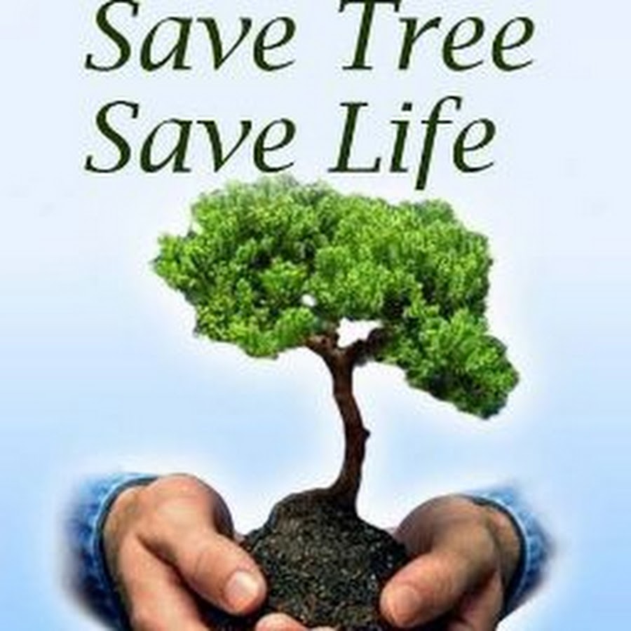 Save the trees