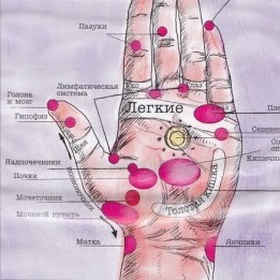 Определить заболевание по рукам. Точки на руках. Точки на ладони. Точки органов на руке человека. Биологически активные точки на ладони.