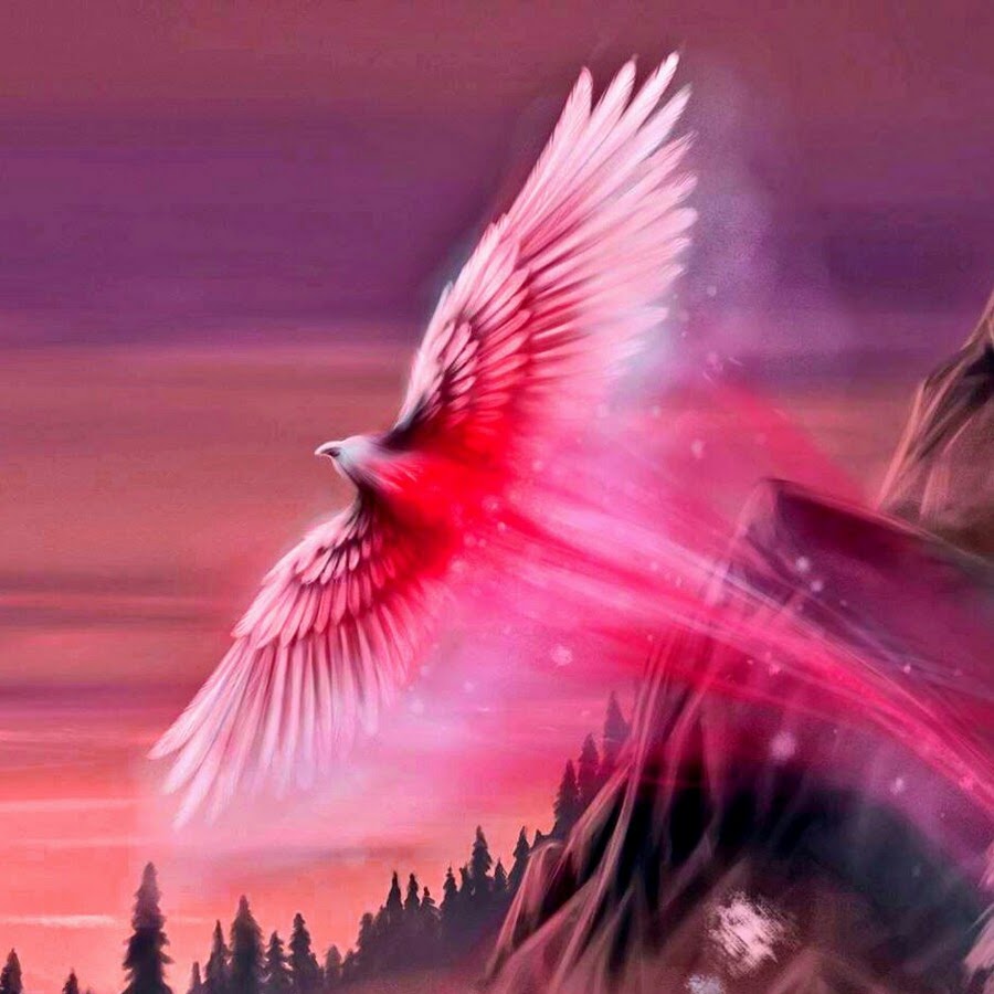 Крылатый лес. Волшебная птица. Птица Феникс. Розовый Феникс. Магическая птица.