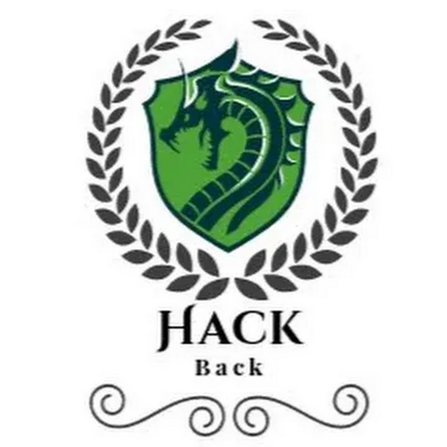 Hack back