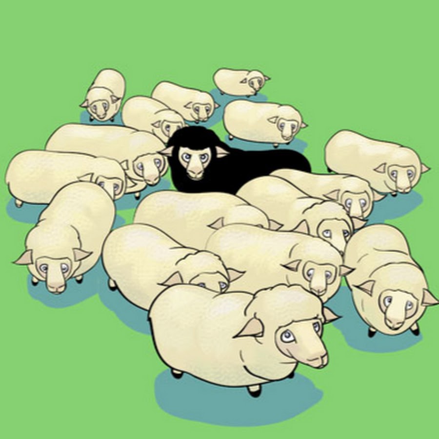 Стадо овец иллюстрация. Паршивая овца все стадо. Паршивая овца в стаде. Паршивая овца рисунок. В семье урода пословица