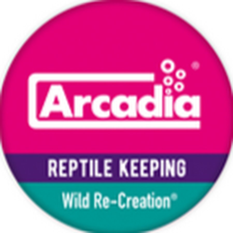 Arcadia Reptile YouTube