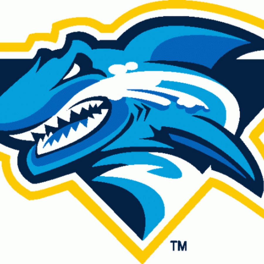 Раскрутка сайта team shark. Акула логотип. Команда акулы. Шарк логотип. Девиз для команды акулы.