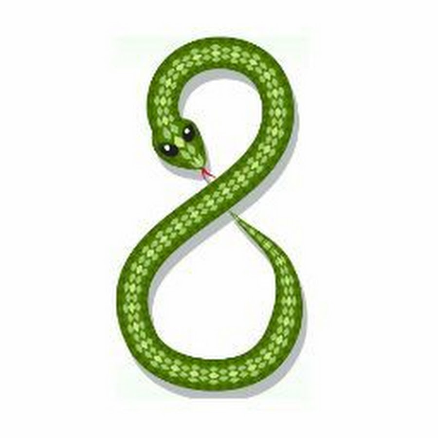 Змейка цифр. Змея восьмеркой. Змей в виде восьмерки. Змея в форме восьмерки. Цифра 8 в форме змеи.