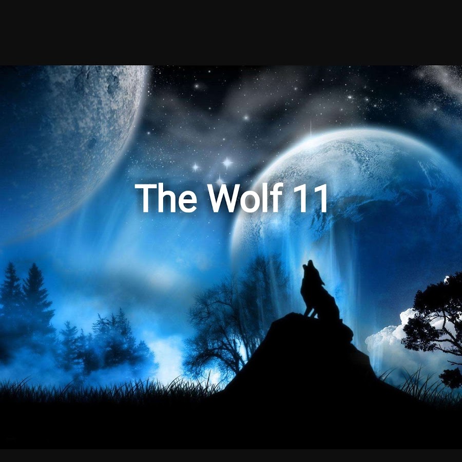 Вольф 11. Wolf Howling at the Moon. Wolf at the Moon.