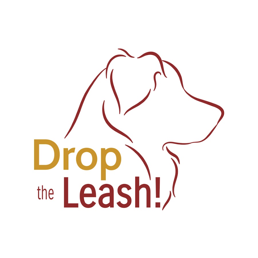 Drop the shop leash dog training