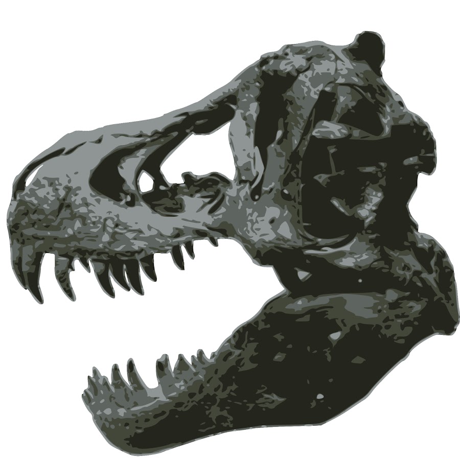 Череп 5 букв. Череп тираннозавра АРК. Подлинный череп тираннозавра. Череп тираннозавра спереди. Череп тираннозавра настоящий.