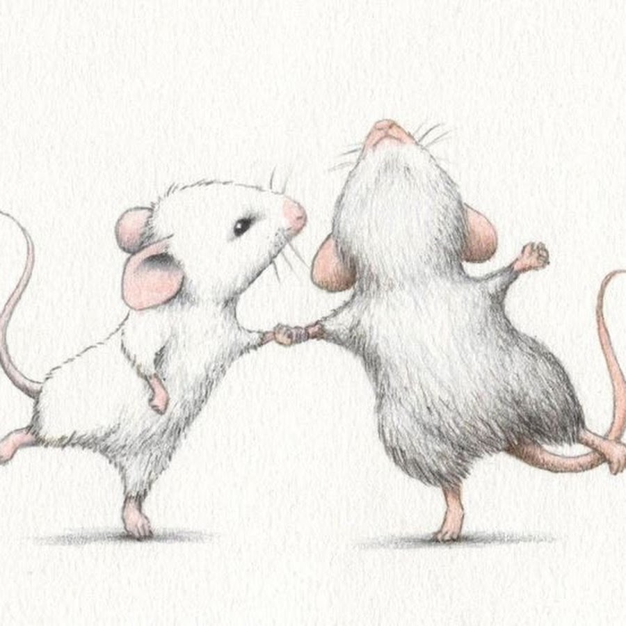 Мыши пара. Две мышки. 2 Милые крыски. Крыски подружки. 2 Мышки рисунок.