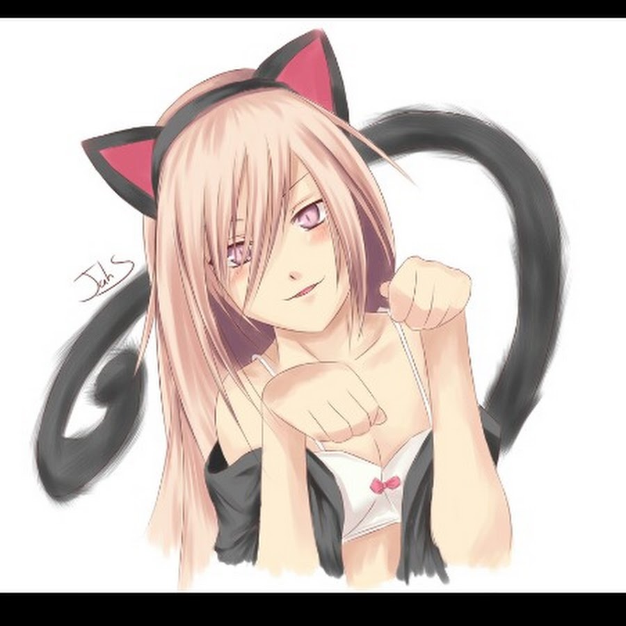 Catgirl. Аниме кошки. Девушка кошка. Аниме девочки кошечки. Девочка кошечка.