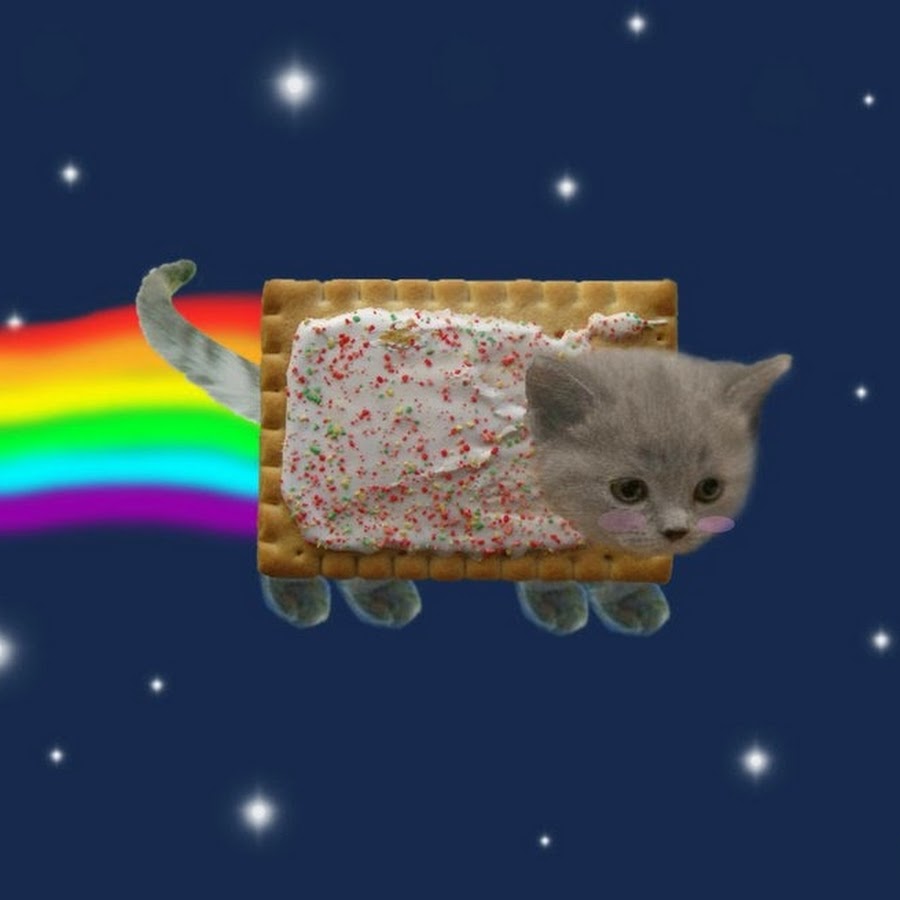 Nyan cat картинка