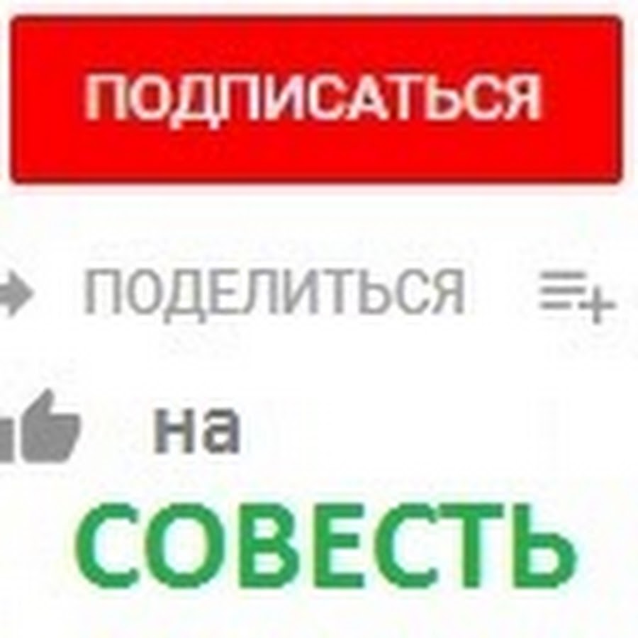 Совесть ютуб