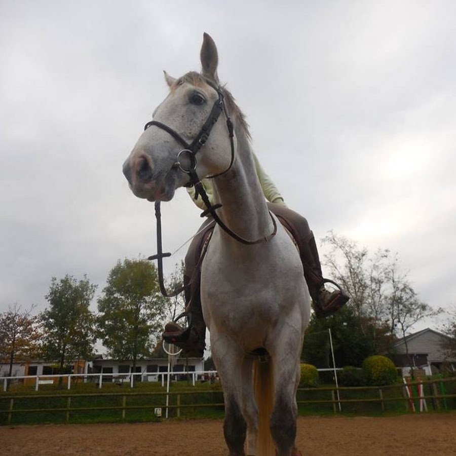 Tapis d'équitation pour cheval - Horse Republic – HORSE REPUBLIC