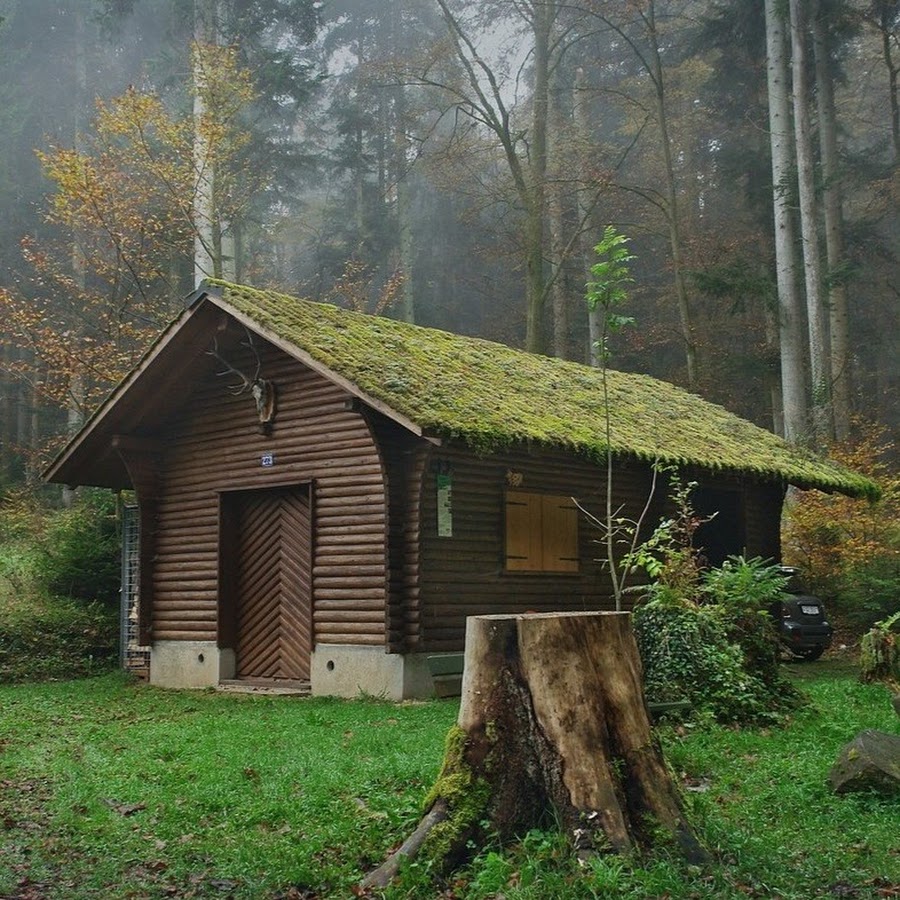 Тайга Хижина лесника