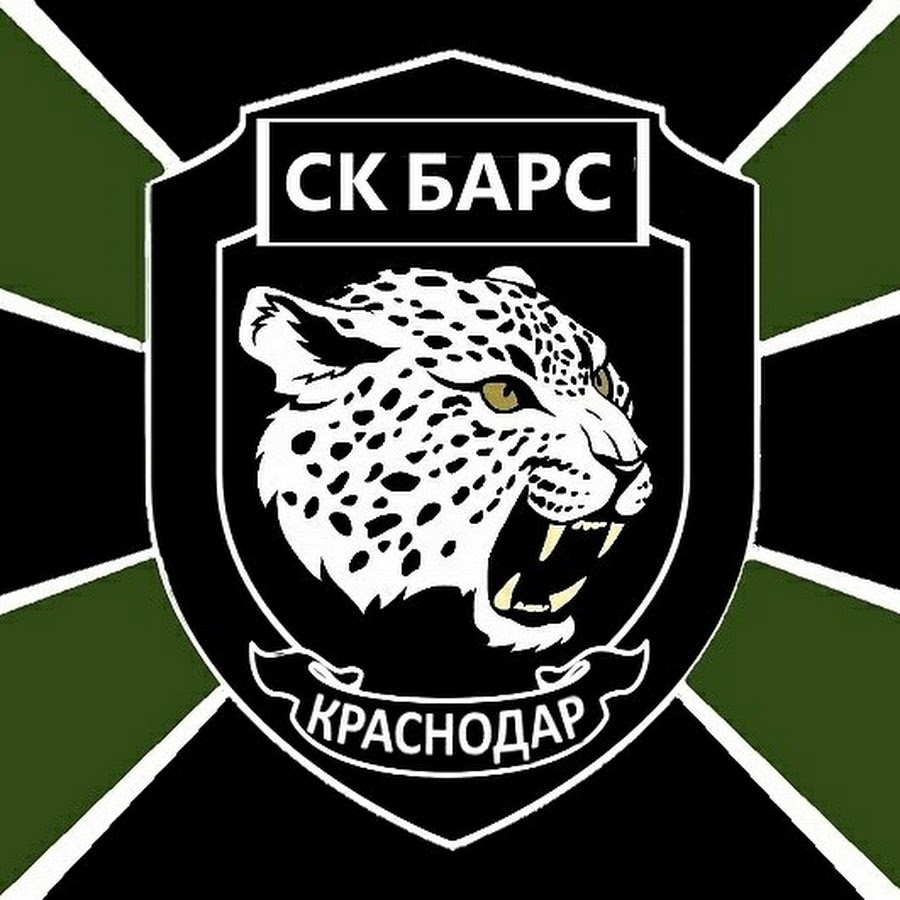 Армейский барс. Эмблема Барс. Эмблемы страйкбольных команд. Военные логотипы.