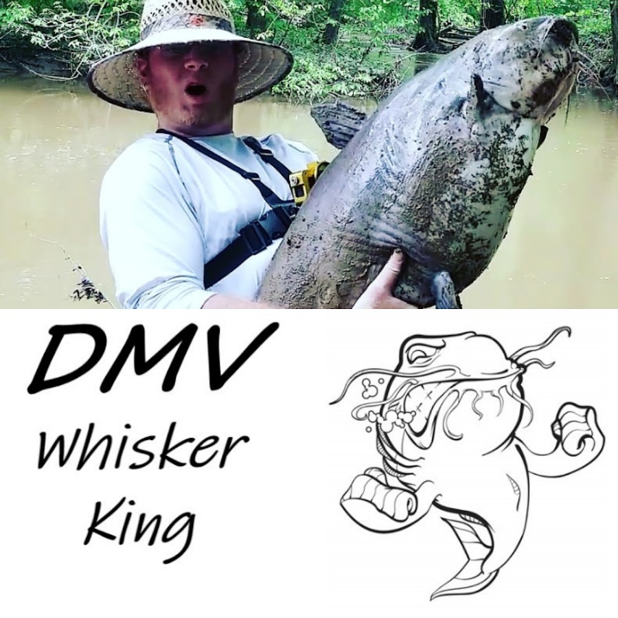 Whisker Seeker Product Unboxing And Review. Mail Call!!!! Catfish Gear!! 