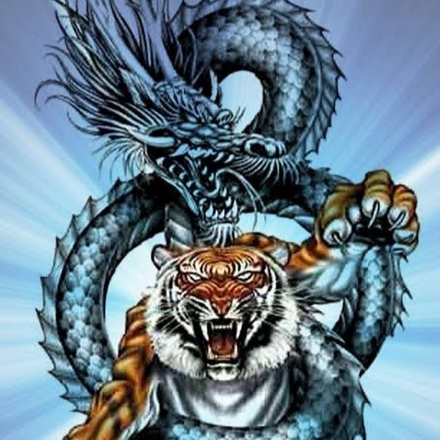 Мужчина змея и тигр. Монада дракон тигр. Тигр vs драгон. Тату дракон и тигр. Китайский дракон и тигр.