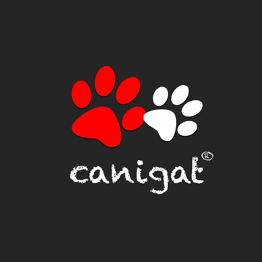 CANIGAT TV - YouTube