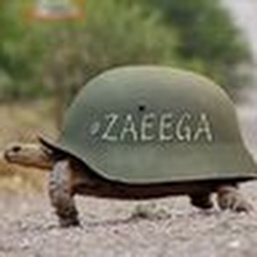 Zaeega