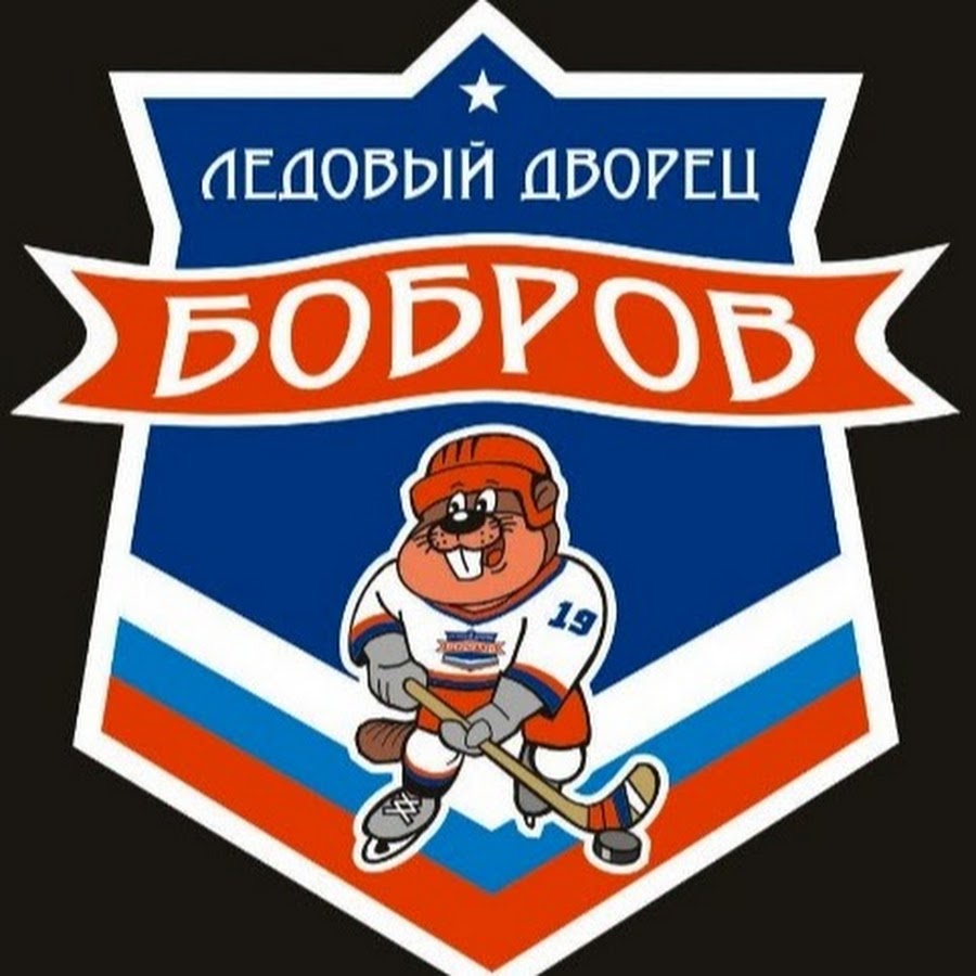 Клуб бобры. Хоккейная команда Бобров логотип. Хк Бобров эмблема. Хк бобры. Хк Бобров 2010.