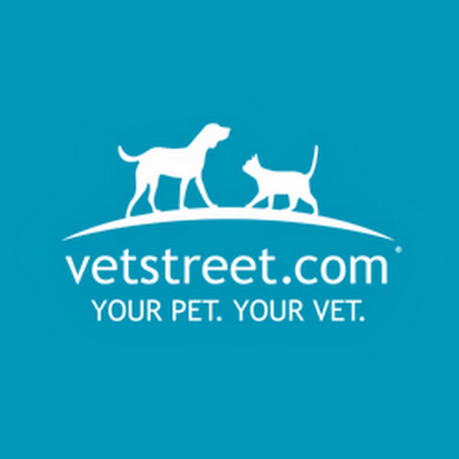 8 Best Rugs for Dogs - Vetstreet