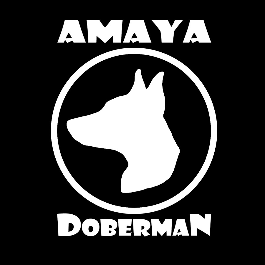 Doberman amanda episode