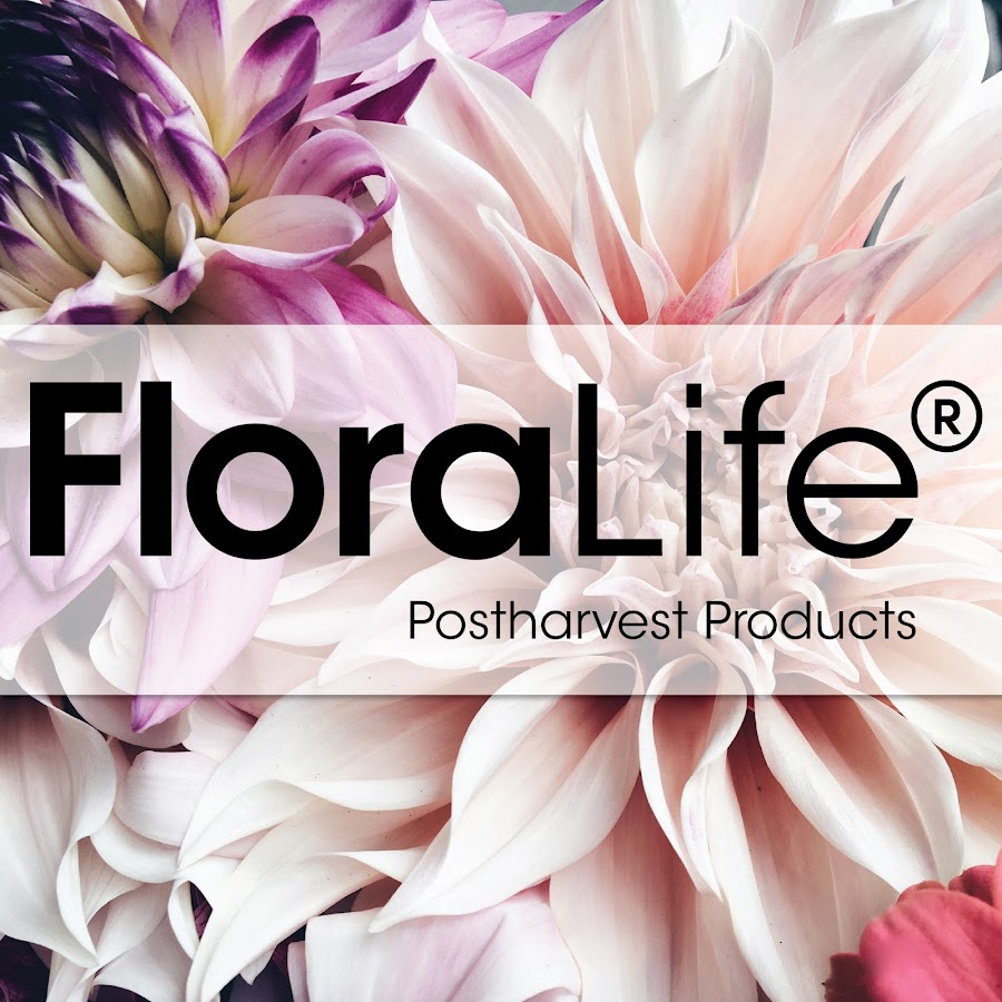 FloraLife® Quick Dip - Instructions 