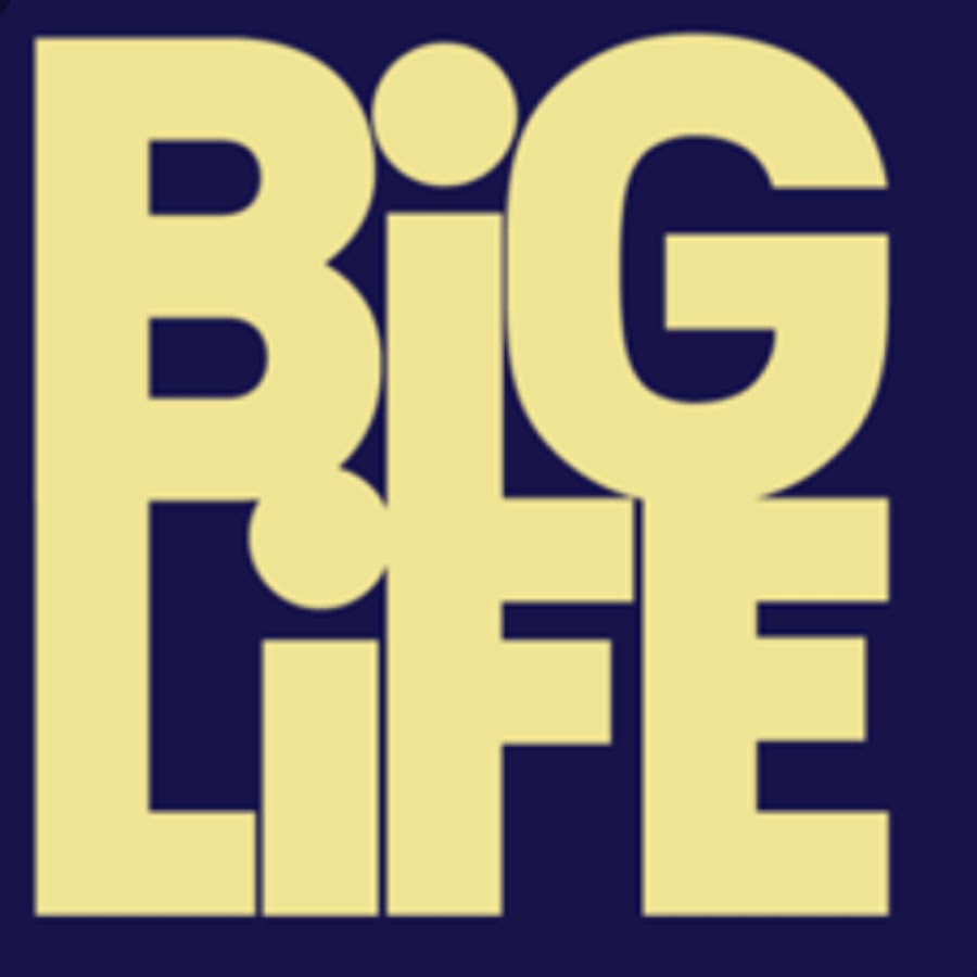 Биг лайф прямой эфир. Big Life логотип. Бига лайф. Big Life - big Life 2011. 4 Life эмблема.