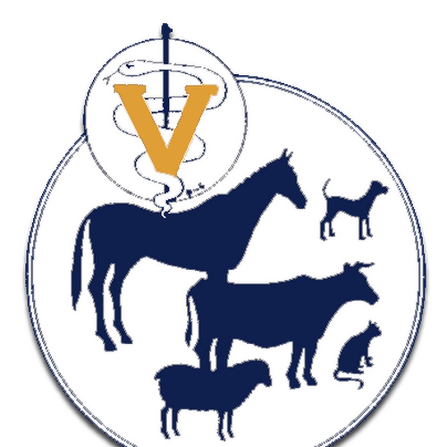 Значок сх. Ветеринария логотип. Символ ветеринара. Символ ветеринарной службы. Эмблема ветеринарной клиники.