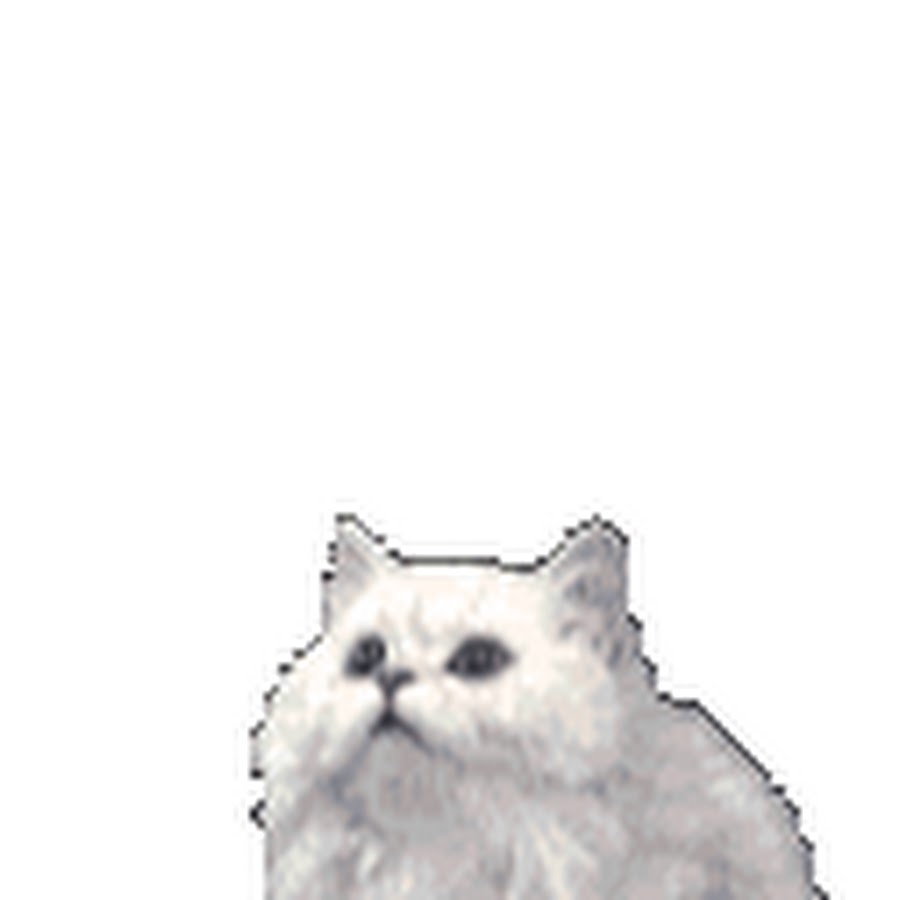 Кот танцует мем гиф
