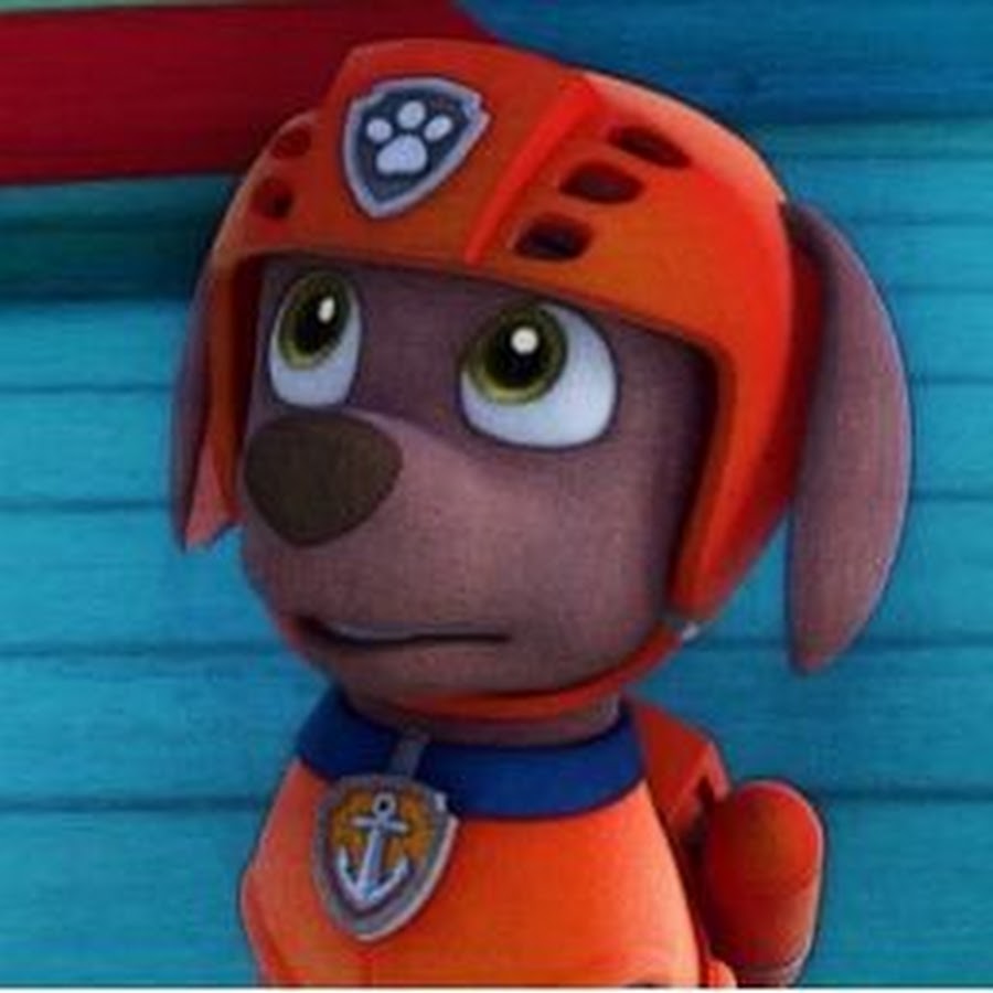 Зума из щенячьего патруля девочка или мальчик. Рекс Paw Patrol. Щенячий патруль. Зума. Zuma Щенячий патруль. Зума Щенячий патруль пол.