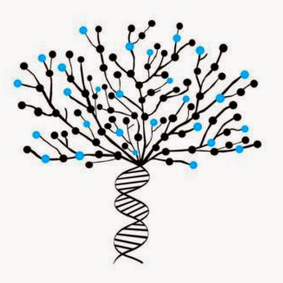Генетика деревьев. Дерево ДНК. Нарисованное дерево с бусинами. ДНК дерево вектор. ДНК дерево лого.