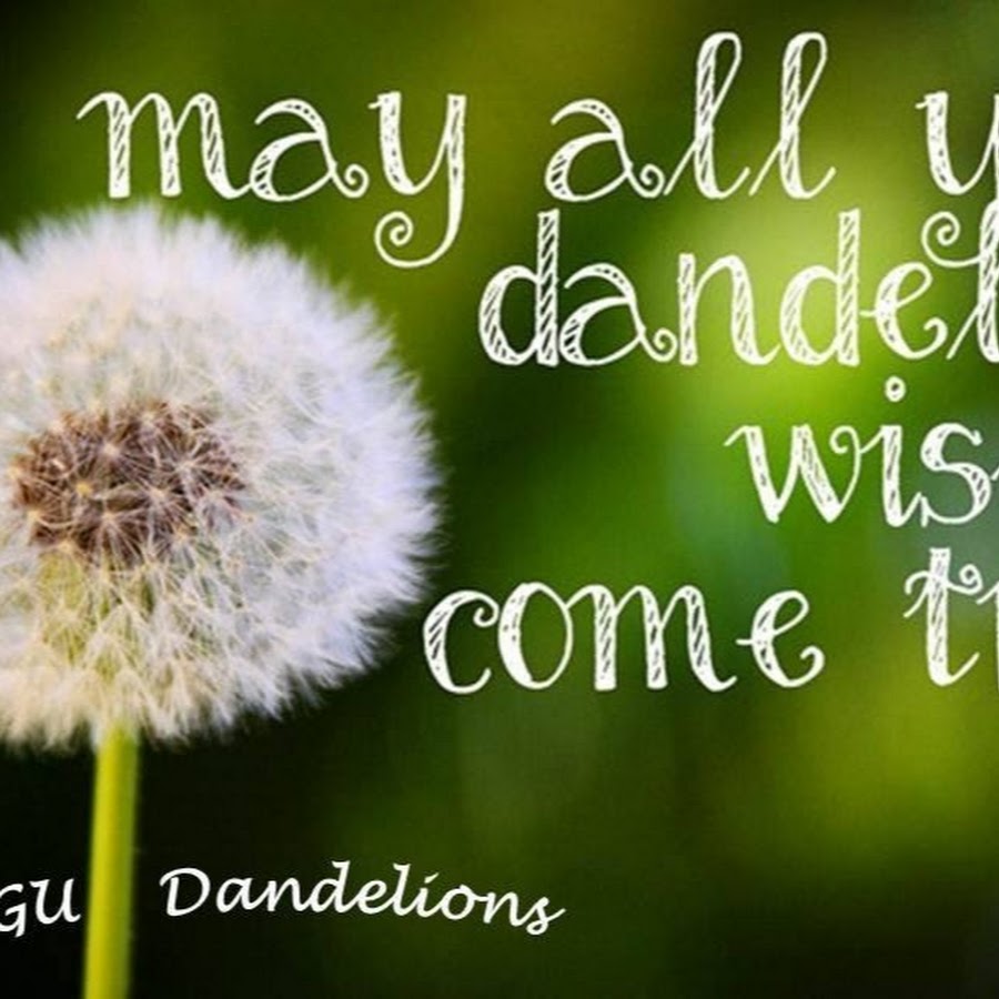 Wish come true. Wishes come true. Одуванчик make a Wish. Dandelion на русском. Your Wish.