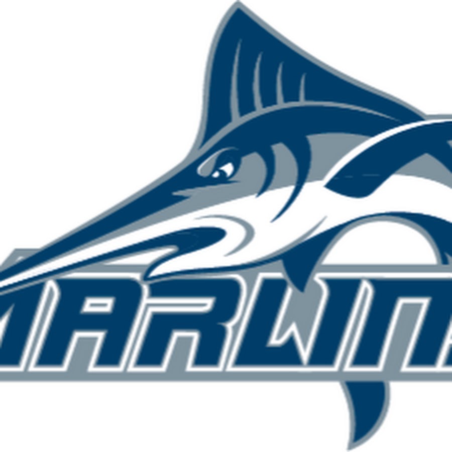 Virginia Wesleyan University Athletics 