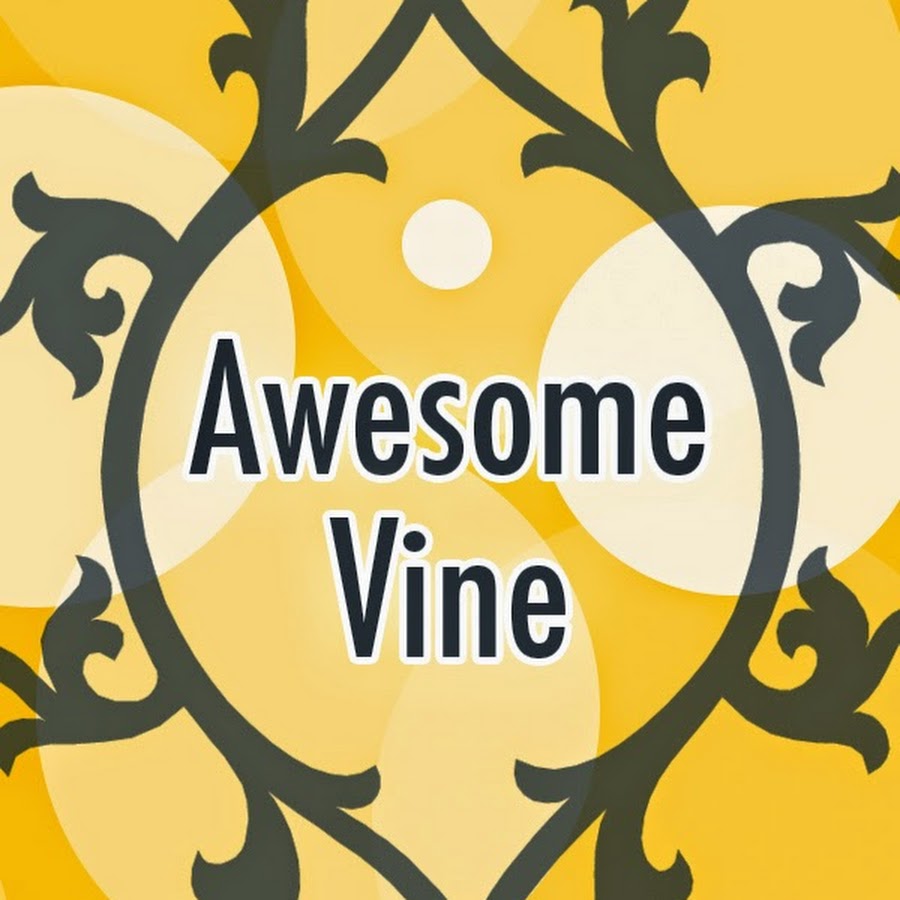 Awesome Vine YouTube