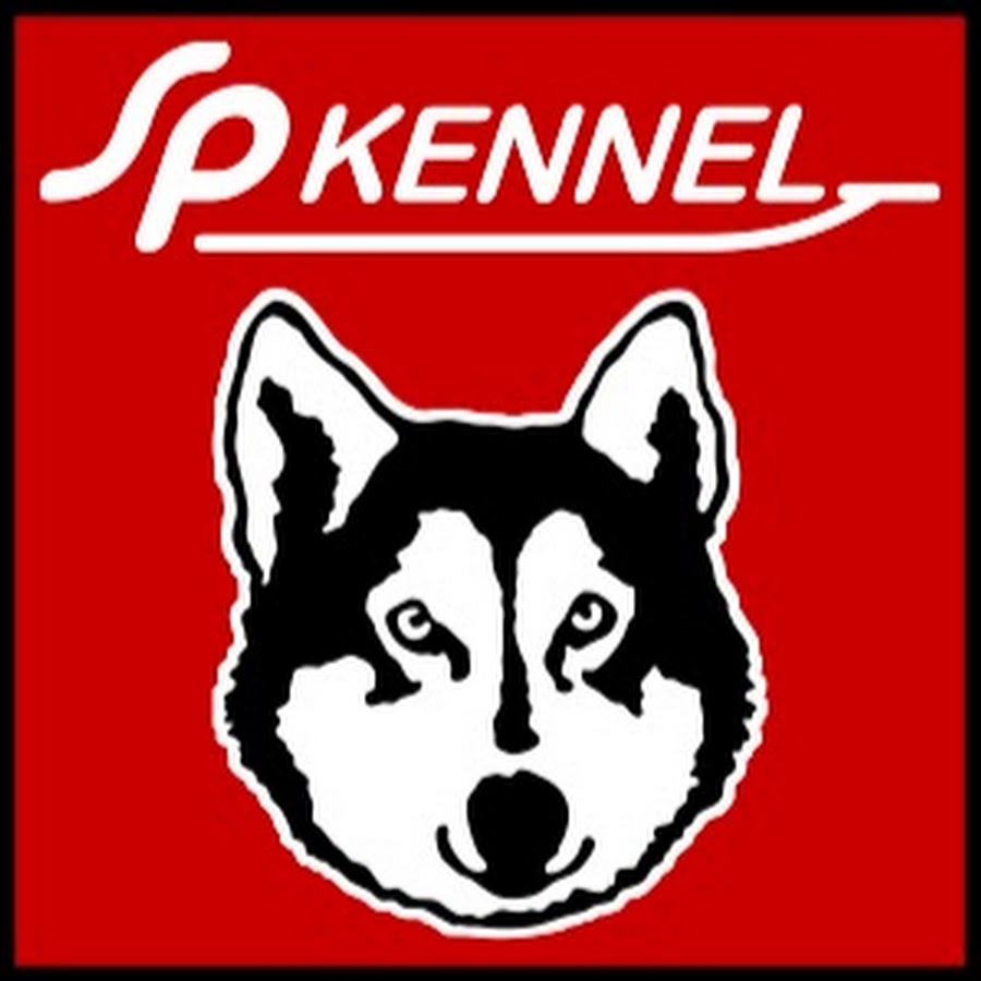Dog Mushing Basics - SP Kennel