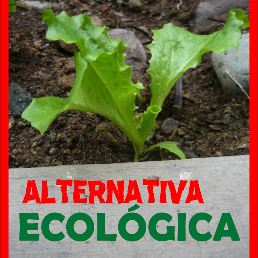ALTERNATIVA ECOLÓGICA @alternativaecologica
