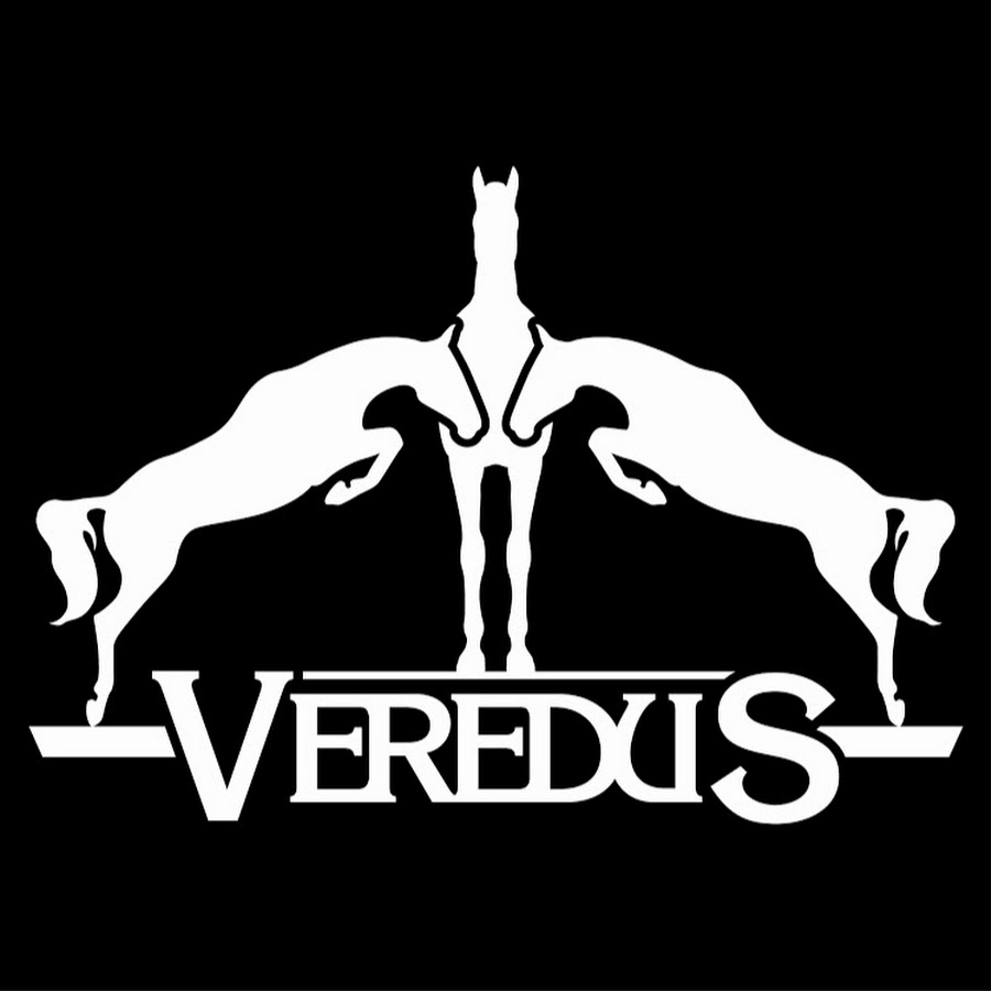 Veredus horse sale