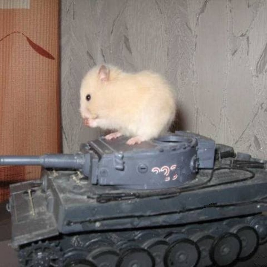 Hamster combat 02.09