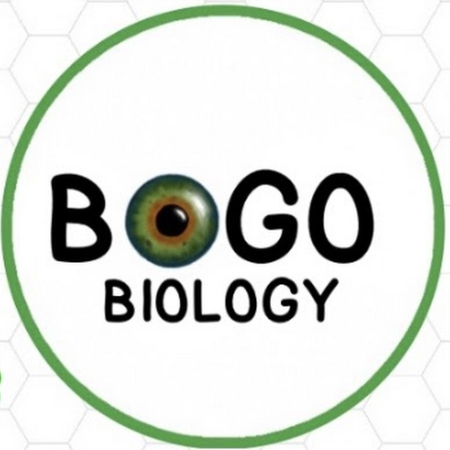 Pisa biologiya