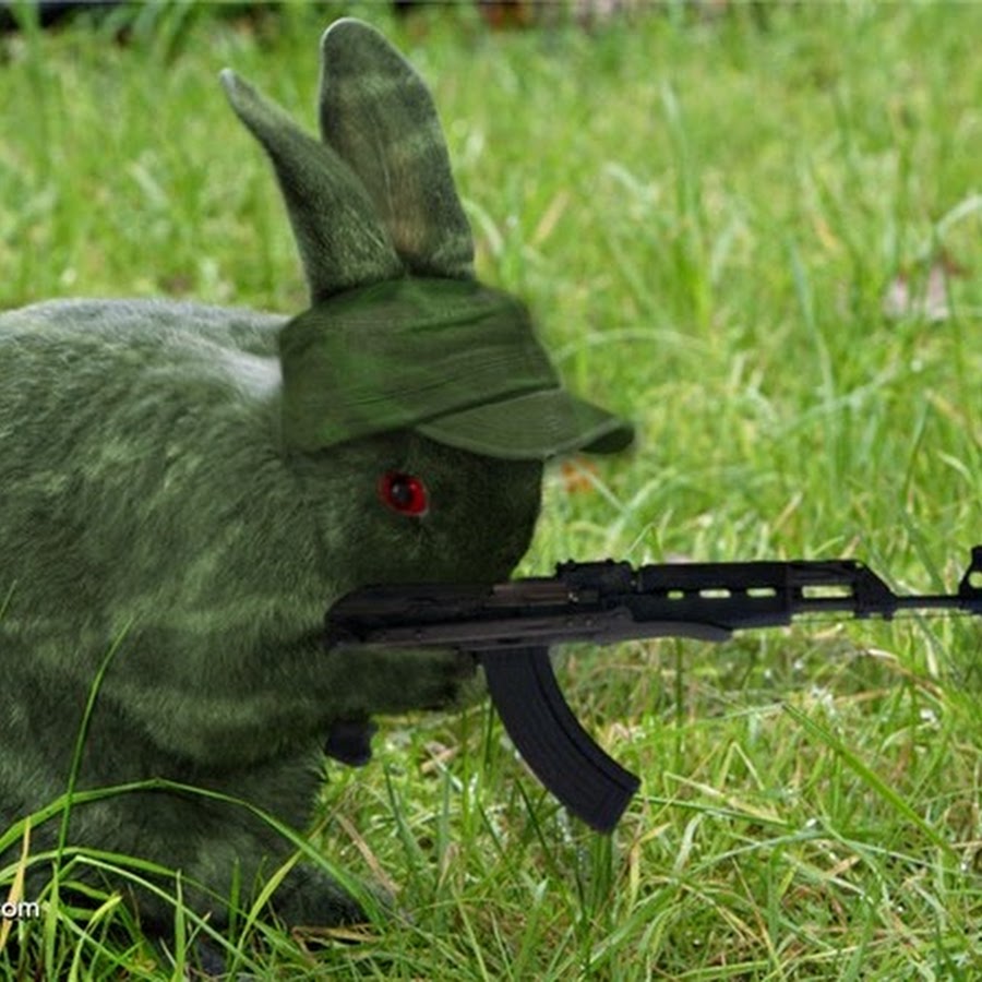Заяц в ластах. Боевой кролик. Заяц военный. Заяц в военной форме. Кролик с оружием.