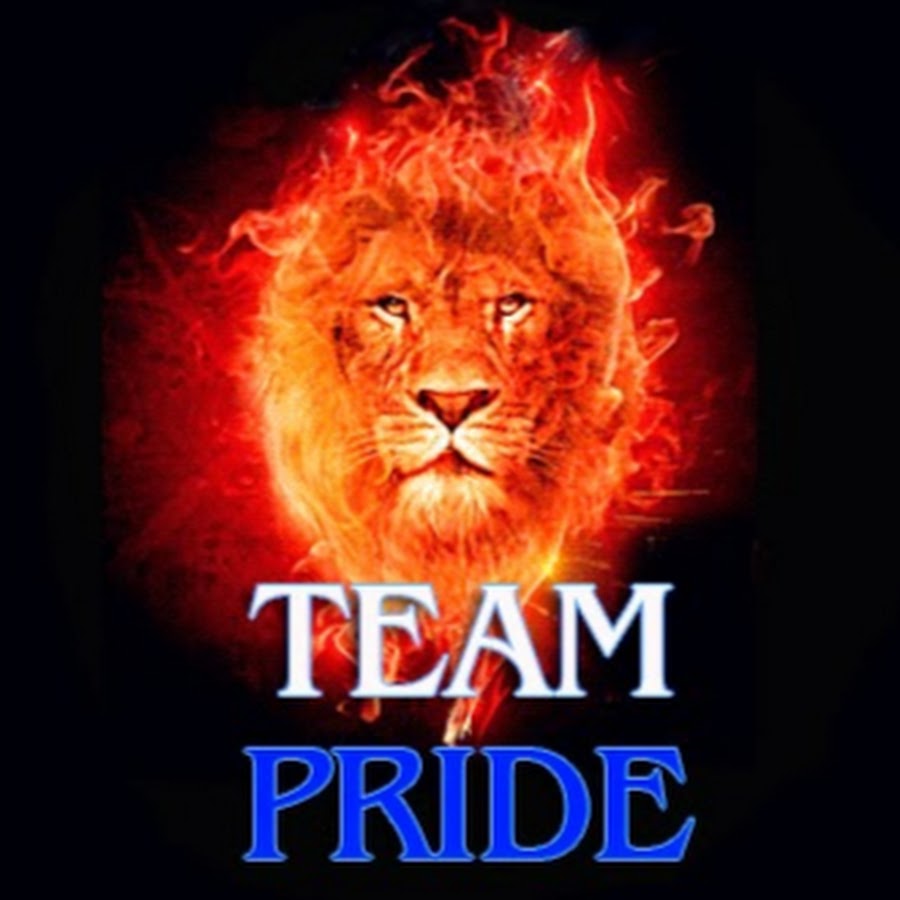 Pride team. Теам Прайд. Лев тим Прайд. Прайд тим картинка. Прайд Канск.