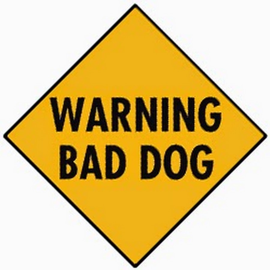 Warning Bad Dog. Warning фото. Bad Dog с табличкой. Наклейки Bad Dog.