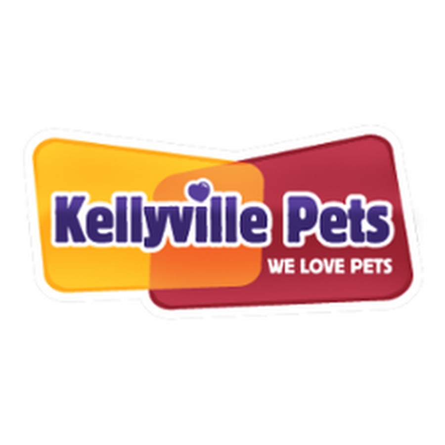 Kellyville pets top dog wash