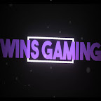 Wins Gaming