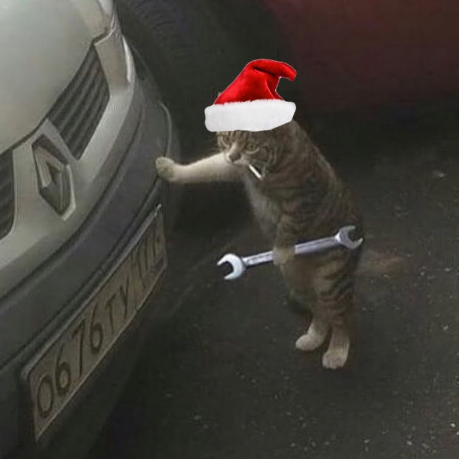 Кот механик. Кот с гаечным. Кошка с гаечным ключом. Кот автослесарь.